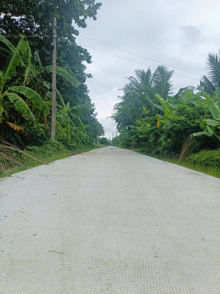 Đất thổ cư 82.5m² tại Thị trấn Vũng Liêm, Vĩnh Long - Giá chỉ 350 triệu!