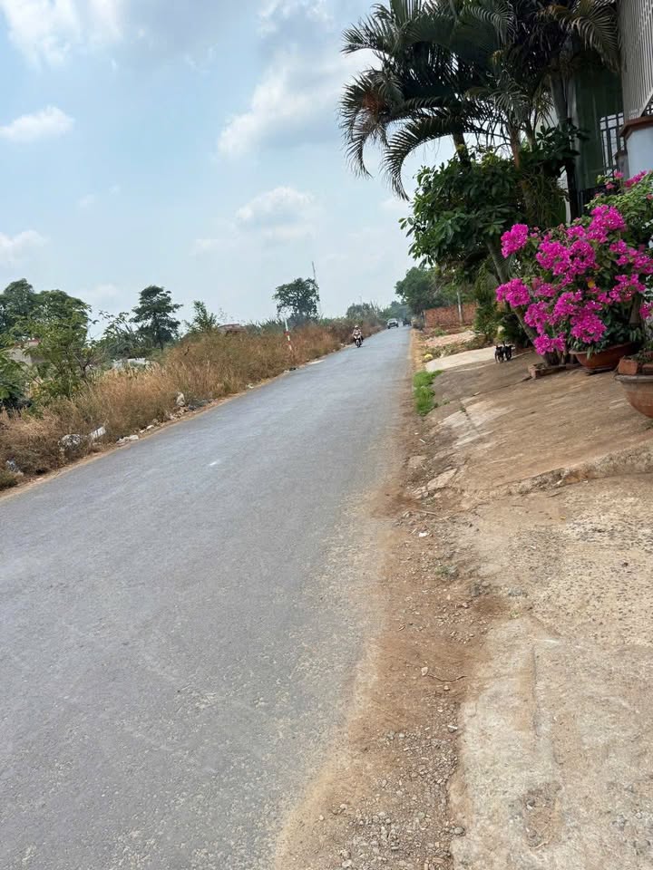 Đất góc 2 mặt tiền hẻm 10/3 Buôn Ma Thuột 90m² giá 2.5 tỷ - Đầu tư sinh lời ngay!