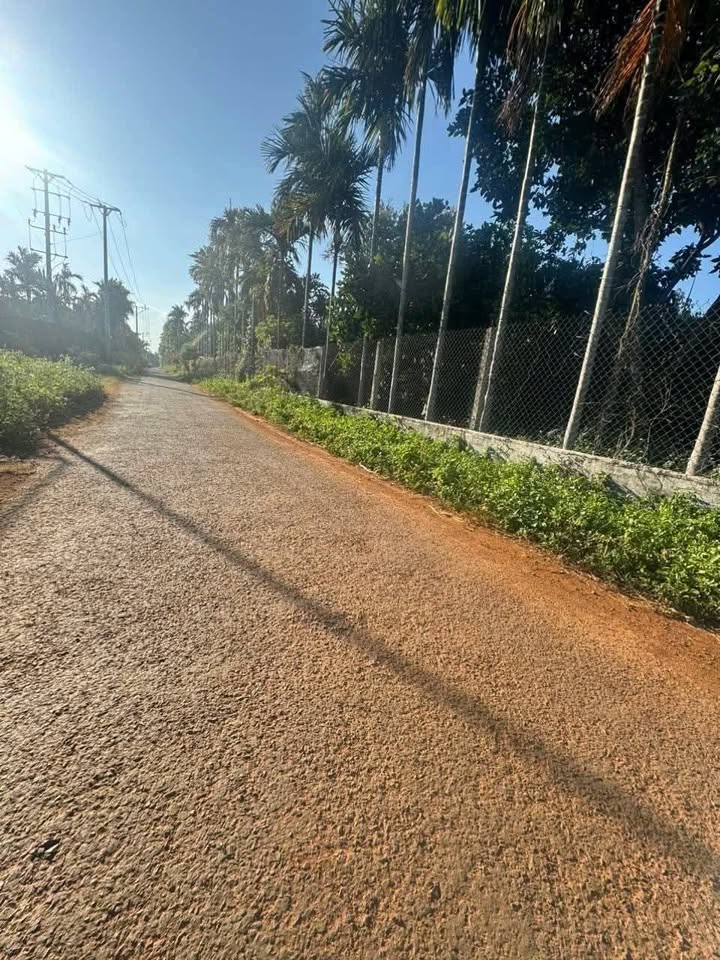 Đất hai mặt tiền Hẻm 50 Đam San, Tân Lập, 336.8m² giá 2.89 tỷ - Cơ hội đầu tư hiếm có!