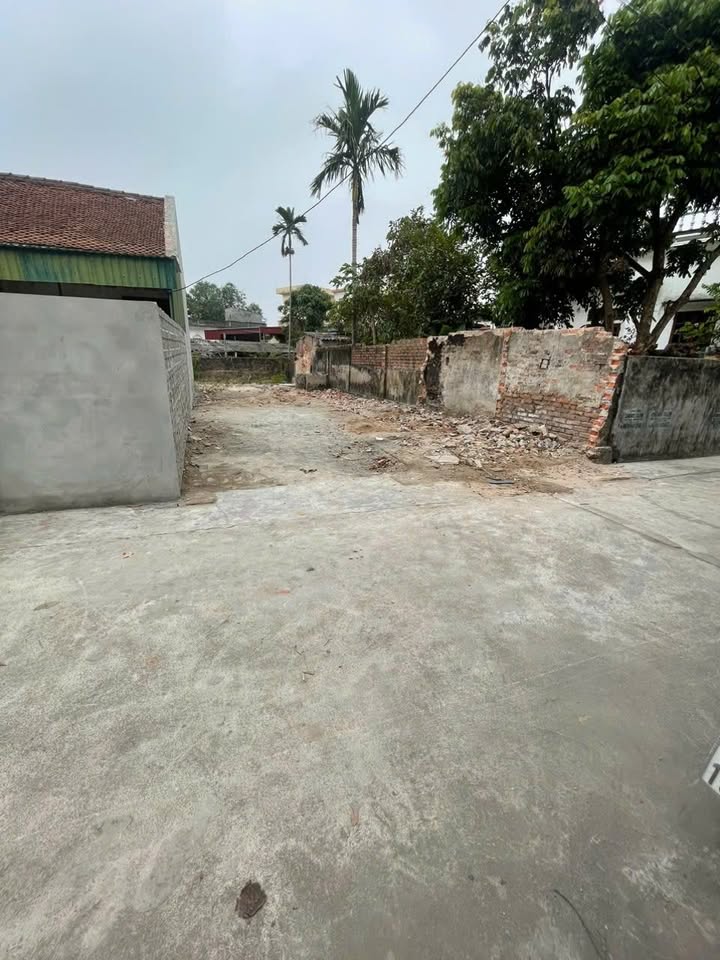 Đất thổ cư 117m² tại xã Trọng Quan, huyện Đông Hưng - Giá thỏa thuận hấp dẫn!