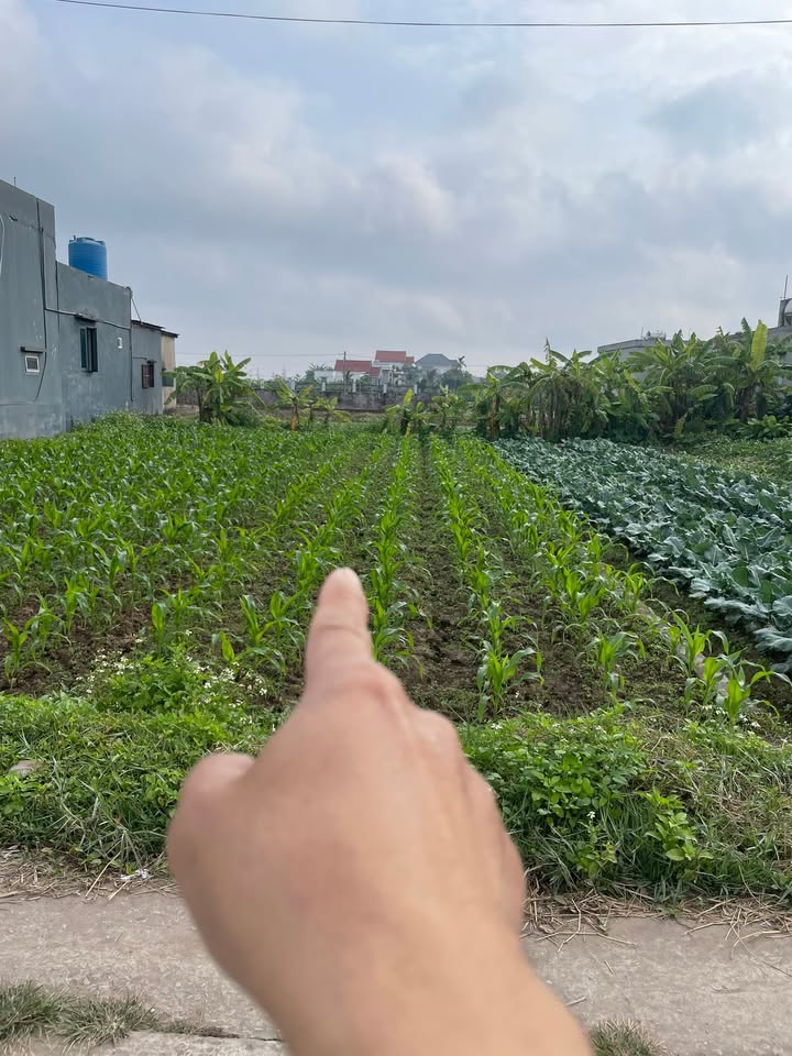 Đất thổ cư 114m² tại xã Nam Thanh, huyện Tiền Hải giá chỉ 700 triệu - Đầu tư sinh lời ngay!