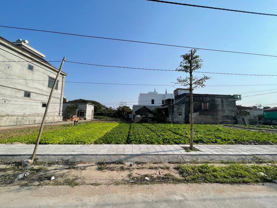 Đất nền xã Hưng Phú Hưng Yên 85m² giá chỉ 8xx triệu - Cơ hội đầu tư hấp dẫn!