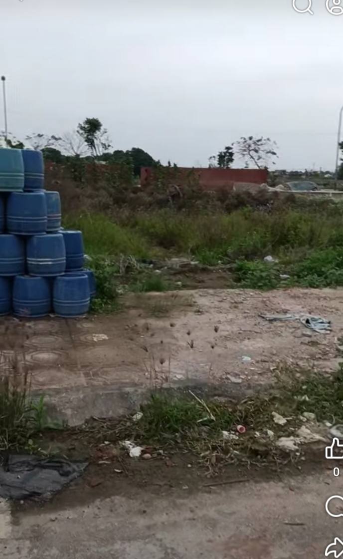 Lô đất TDC đẹp tại chợ đầu mối Quỳnh Hải - 83m² giá chỉ 1,9 tỷ