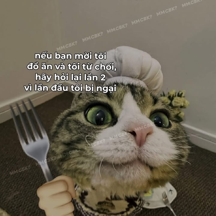 Đất thổ cư mặt tiền Nguyễn Quang Đại, Tân An 115m² giá 1.35 tỷ - Đầu tư sinh lời ngay!