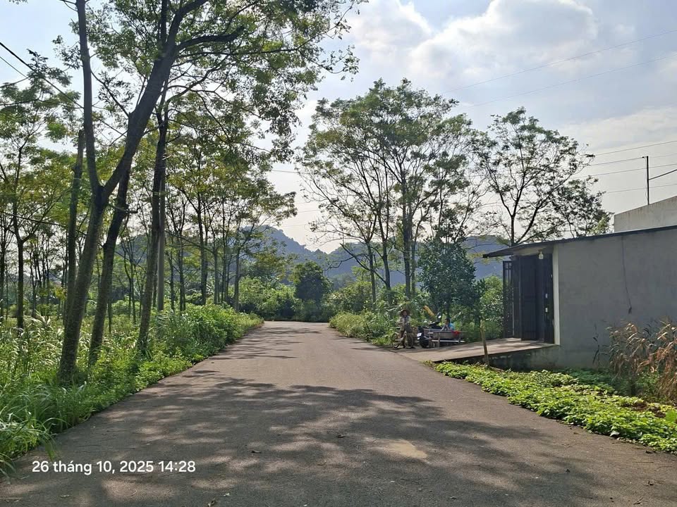 Đất phân lô Trung Sơn, Tam Điệp 100m² giá 1.1 tỷ - Cơ hội đầu tư tuyệt vời!