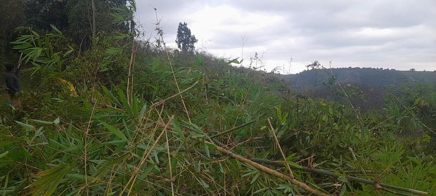 Đất trống 1ha5 tại Đắk Lắk giá 800 triệu - Chủ nhà bớt lộc mạnh!