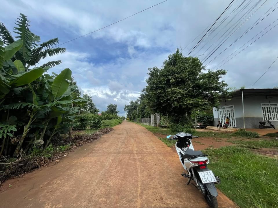 Đất nền Xã Cư Suê 120m² giá 1.33 tỷ - Đường lớn, khu dân cư sầm uất!