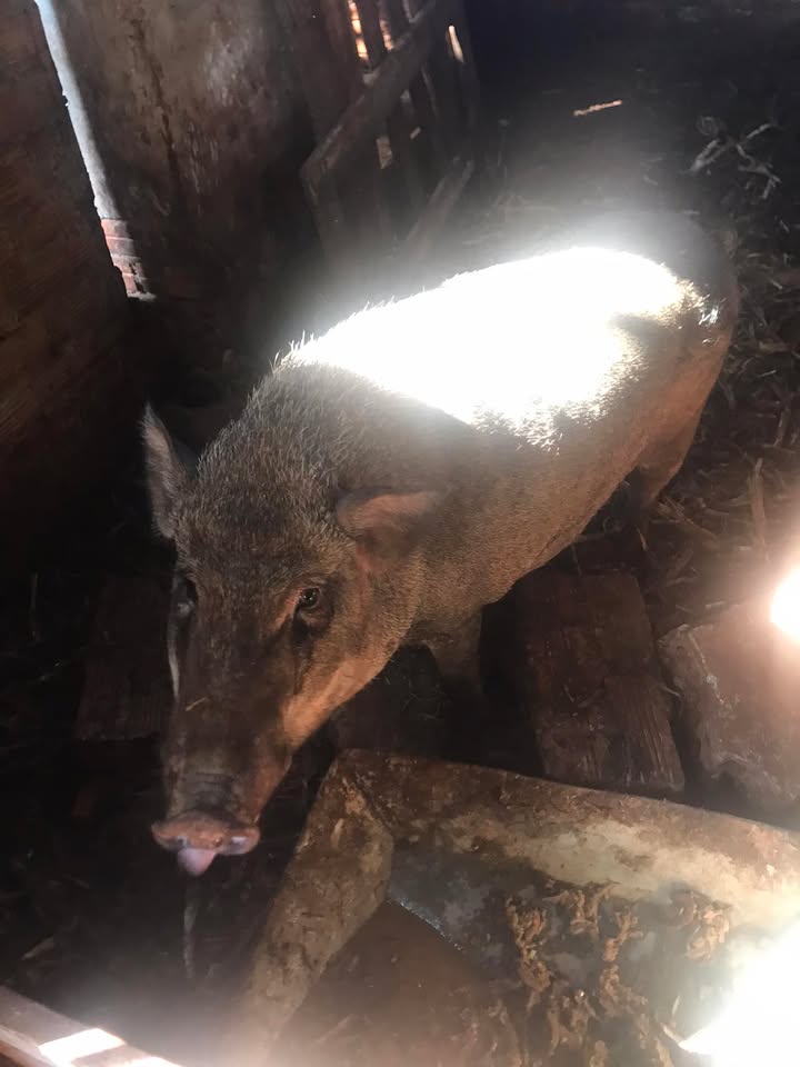 Đất nền Phường Xuân Phú 125m² giá 1.45 tỷ - Vị trí đắc địa, thuận tiện kinh doanh!