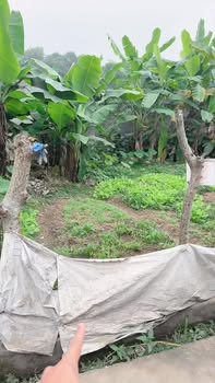 Đất ở Phường Xuân Khanh 68m² giá đầu tư - Cơ hội vàng cho nhà đầu tư!