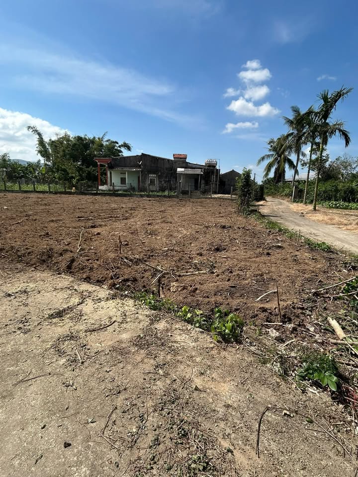 Đất nền liền kề 600m² tại Cát Tài, Phù Cát - Giá chỉ từ 1xx triệu!