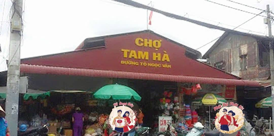 Đất nền Phường Tam Hà Quận 2 160m² giá 11 tỷ - Vị trí trung tâm sầm uất!