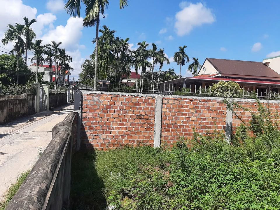 Đất mặt tiền Phạm Ngũ Lão, Đồng Hới 160m² giá chỉ 900 triệu - Sổ hồng chính chủ!