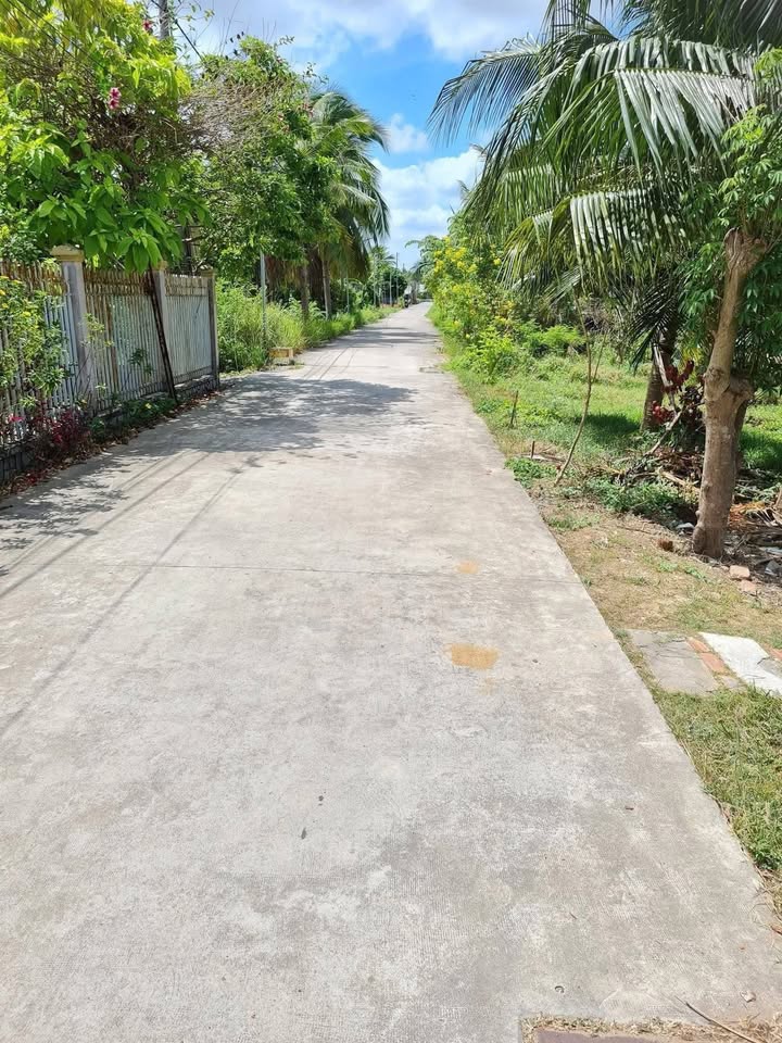 Đất nền Bến Tre 1389m² giá 3.7 triệu/m² - Cơ hội đầu tư hấp dẫn!