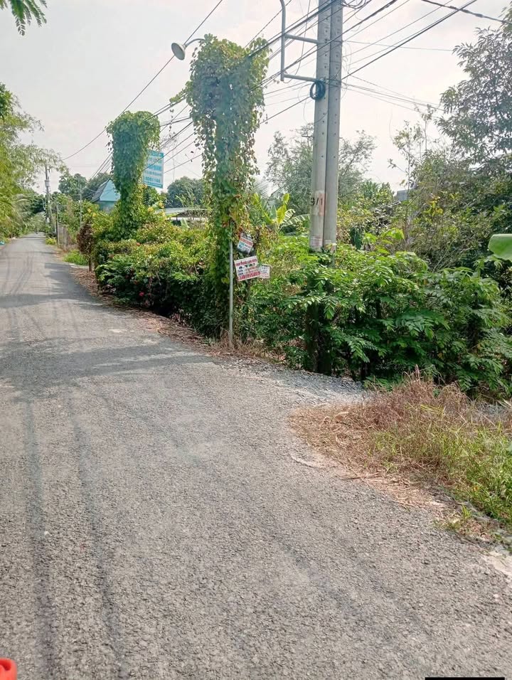 Đất Farm 4.000m² Thị trấn Bình Phú - Giá chỉ 700 triệu, vị trí đẹp gần lộ nhựa!