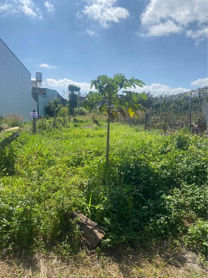 Đất mặt tiền Hoàng Sâm, Thành Nhất 167m² giá 2.69 tỷ - Đường thông ô tô né nhau!