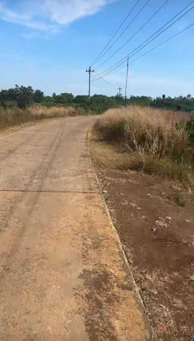 Đất Farm 6,8 sào cà phê tại Ea Nuôl, Đắk Lắk giá chỉ 1 tỷ - Cơ hội đầu tư tuyệt vời!