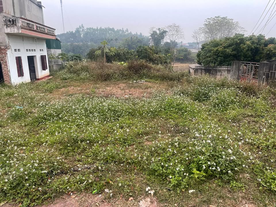 Đất thổ cư 100m² tại thôn Liên Cơ, Yên Thế, Bắc Giang - Gần trường học, giá thỏa thuận!