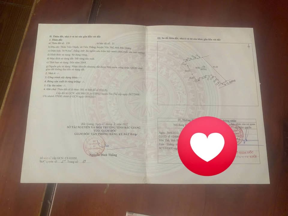 Đất nền xã Thái Bảo, huyện Gia Bình 1,1ha - Cơ hội đầu tư hấp dẫn!