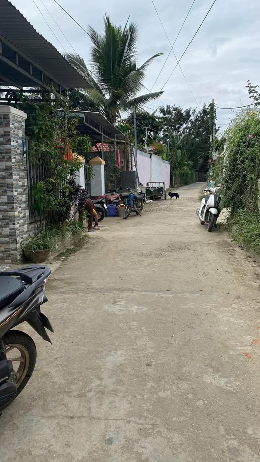 Đất An Ninh, Diên Khánh 184m² - Sân trước ô tô, sân sau trồng rau!