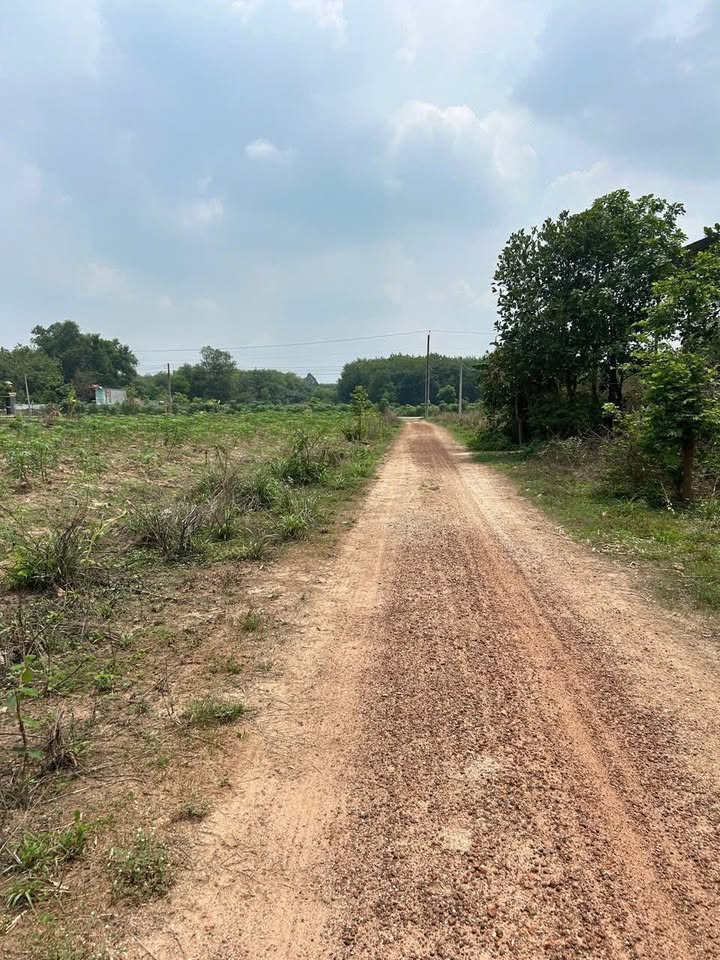 Đất nền Trừ Văn Thố Bàu Bàng 110m² giá chỉ 300 triệu - Cơ hội đầu tư hấp dẫn!