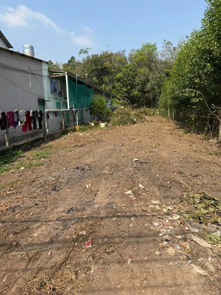 Đất thổ cư An Tây Bến Cát 970m² giá 4.1 tỷ - Đầu tư sinh lời tiềm năng!