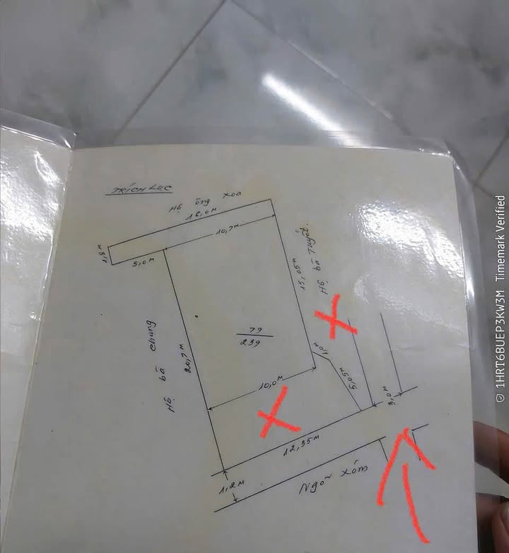 Đất nền đường Bùi Thị Tự Nhiên, Hải An 239m² - Đầu tư sinh lời hấp dẫn!