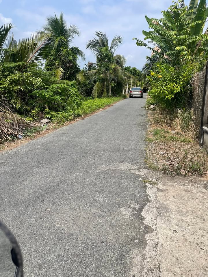 Đất thổ cư Long Hòa Bình Đại 3251m² giá 4.03 tỷ - Mặt tiền nhựa thông thoáng!