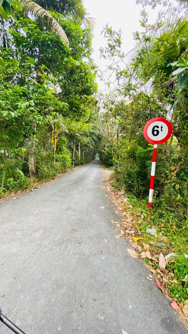 Đất nền mặt tiền lộ nhựa xã Nhơn Thạnh 400m² giá 2.1 tỷ - Đầu tư sinh lời hấp dẫn!