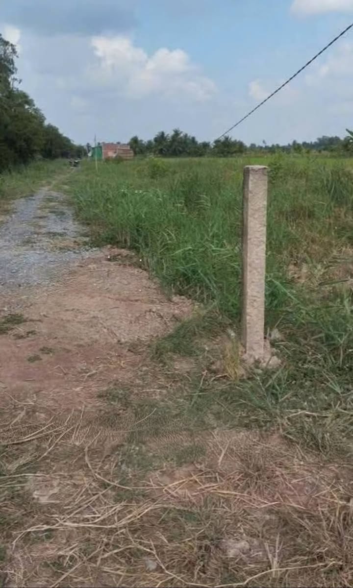 Đất nền Tân Xuân, Bến Tre 650m² giá chỉ 195 triệu - Đường xe du lịch tới nơi!