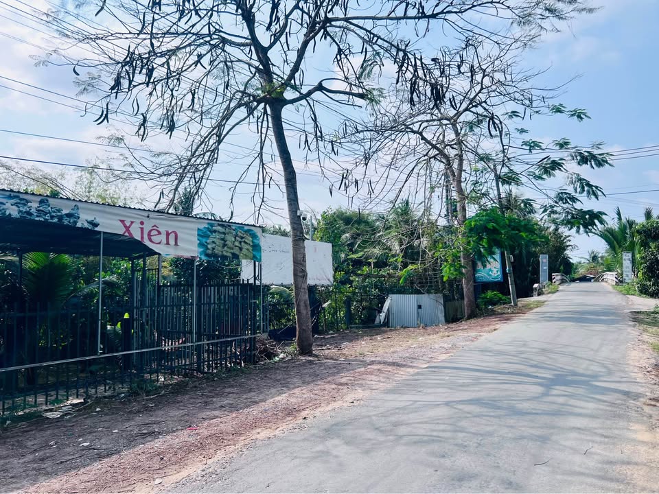 Đất mặt tiền Lộ Nhơn Thạnh-Phú Nhuận, Bến Tre 2500m² - Cơ hội kinh doanh hấp dẫn!