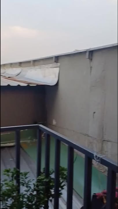 Nhà nhỏ ấp 5 cũ Đông Thạnh 12m² giá 520 triệu - Không cần lo lắng về pháp lý!