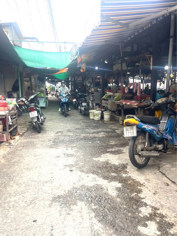 Đất nền chính chủ Phường Phước Hậu, Vĩnh Long 96m² - Cơ hội đầu tư hấp dẫn!