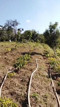 Đất nền 5 sào Đam Rông, giá 600 triệu - Cơ hội đầu tư hấp dẫn!