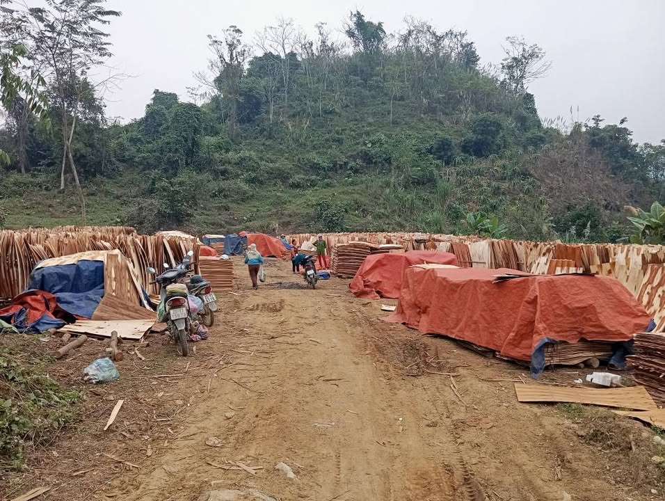 Đất thổ cư Huyện Hàm Yên 2000m² giá chỉ 200 triệu - Cơ hội đầu tư tuyệt vời!