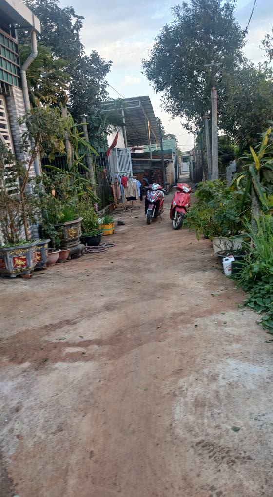 Đất thổ cư hẻm Lê Công Khai, Đắk Đoa 258m² - Vị trí đắc địa gần trường học!