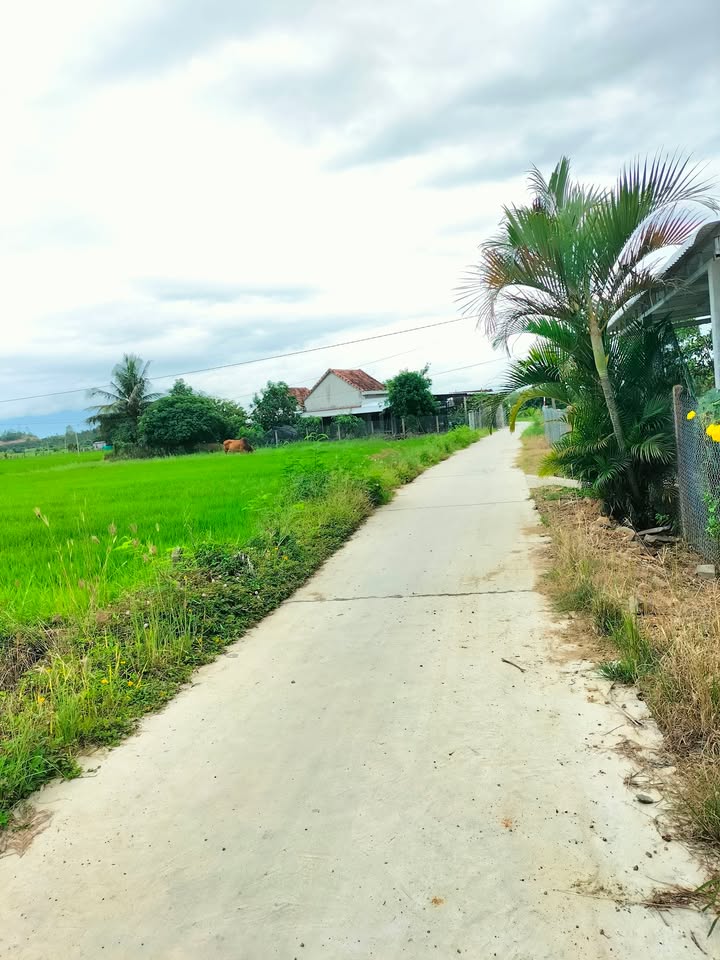 Đất thổ cư 250m² tại xã Bắc Ninh Hòa - Giá chỉ 4xx triệu!