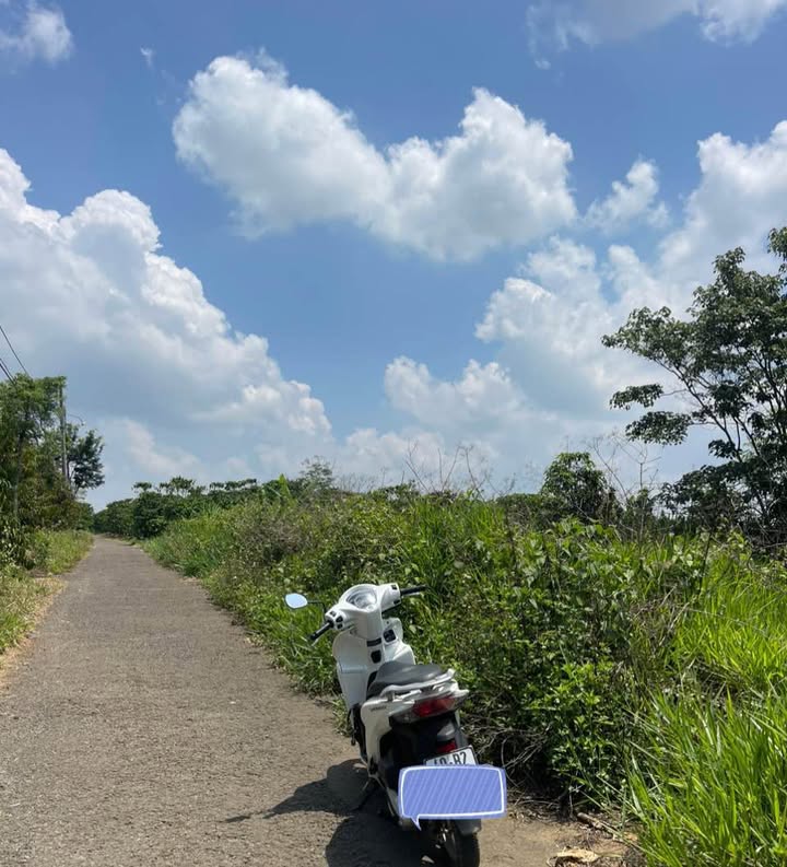 Đất nền thổ cư Lộc An 100m² giá 300 triệu - Đầu tư sinh lời ngay!