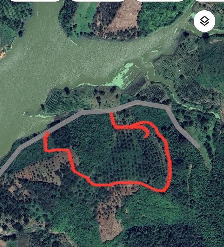 Đất nông nghiệp Đạ Rsal 10.000m² giá 1.1 tỷ - Cơ hội đầu tư sinh lời!