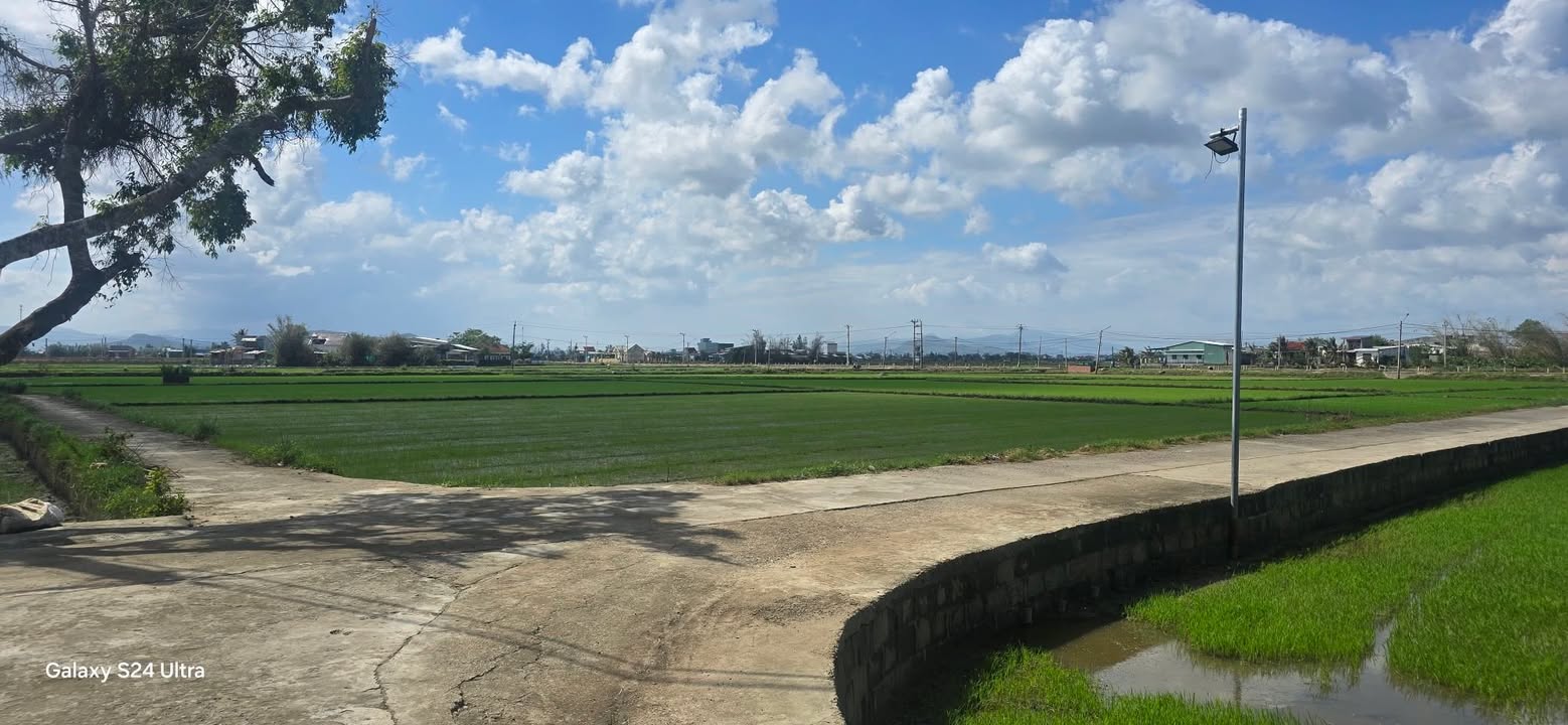 Đất nông nghiệp Xã Phước Thắng 1880m² giá 3.372 tỷ - Sát khu dân cư, đường ô tô