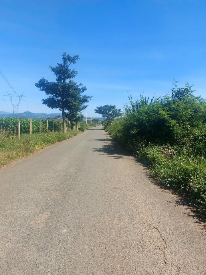 Đất mặt tiền Tân Tiến, Lâm Hà 1244m² giá 2.2 tỷ - Pháp lý rõ ràng, đầu tư sinh lời!