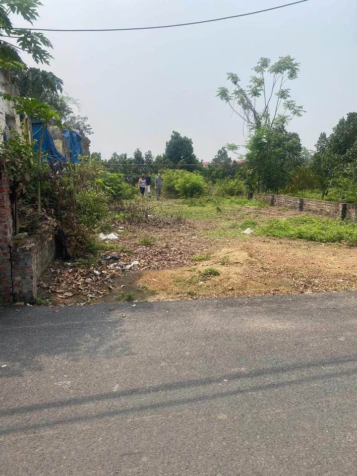 Đất nền chính chủ Phường Xuân Hoà, Phúc Yên 1190m² giá 20.23 tỷ - Cơ hội đầu tư hấp dẫn!