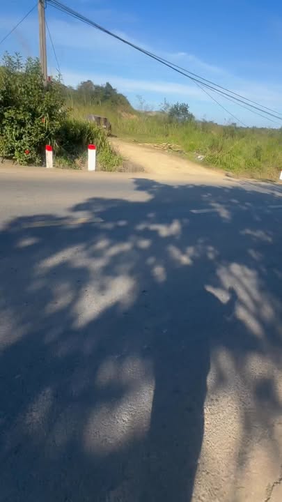 Đất nền 1155m² tại Đường Wl29, Huyện Krông Năng - Đầu tư sinh lời tiềm năng!