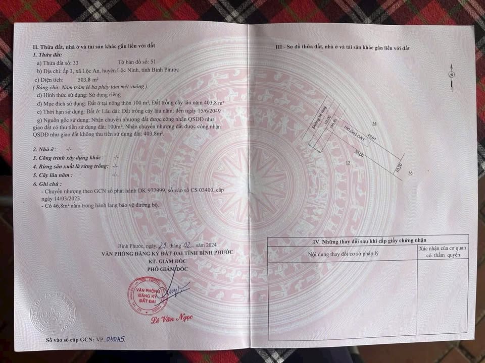 Đất nền 500m² mặt bê tông tại Huyện Lộc Ninh giá chỉ 100 triệu - Cơ hội đầu tư tuyệt vời!