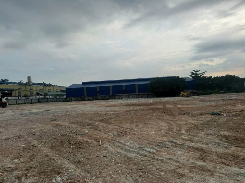 Đất cho thuê mặt tiền Mptv. Thuận An 20.000m² - Lợi thế kinh doanh vượt trội!