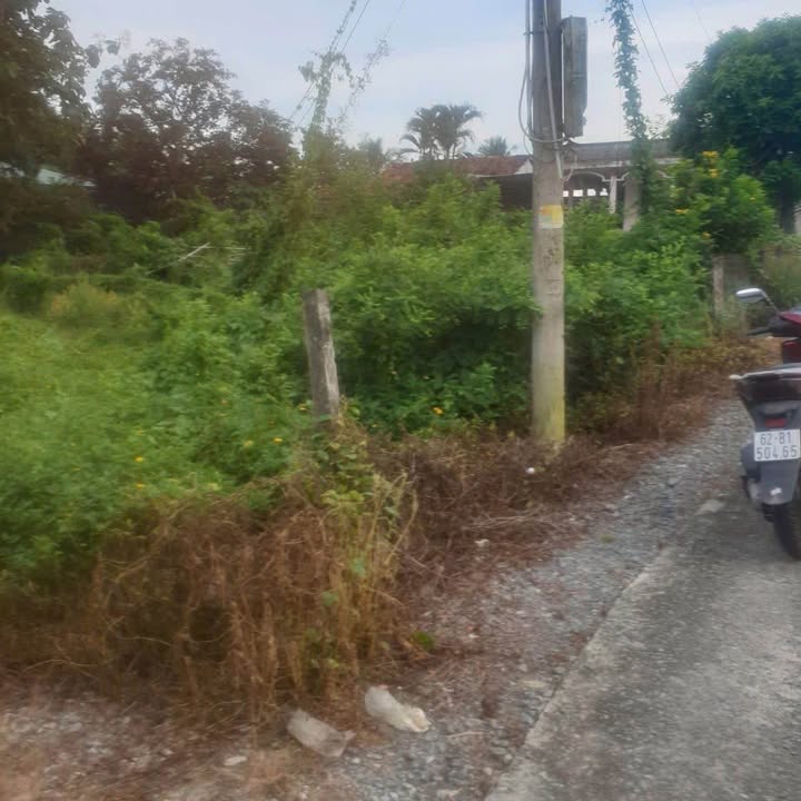 Đất vườn Bình Tâm Long An 180m² giá 450 triệu - Gần vòng xoay thuận tiện!