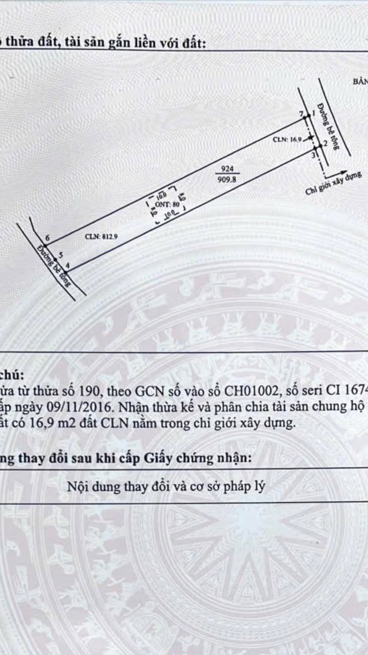 Đất nền Nam Dương Lục Ngạn 909m² giá rẻ - Cần bán gấp!
