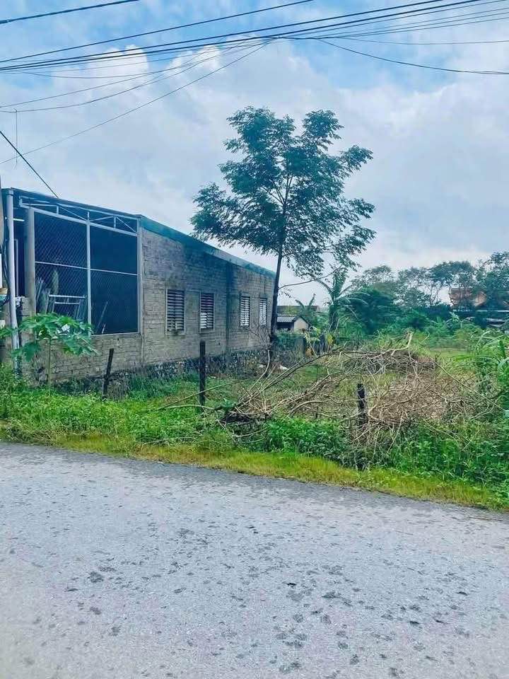 Đất nền mặt tiền đường Nguyễn Đoá Nghĩa Ninh 150m² giá 890 triệu - Cơ hội đầu tư tuyệt vời!