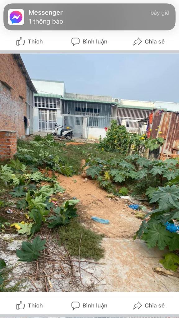 Đất mặt tiền đường Trương Văn Ly, Phan Thiết 100m² giá 180 triệu - Thích hợp chia lô đầu tư!