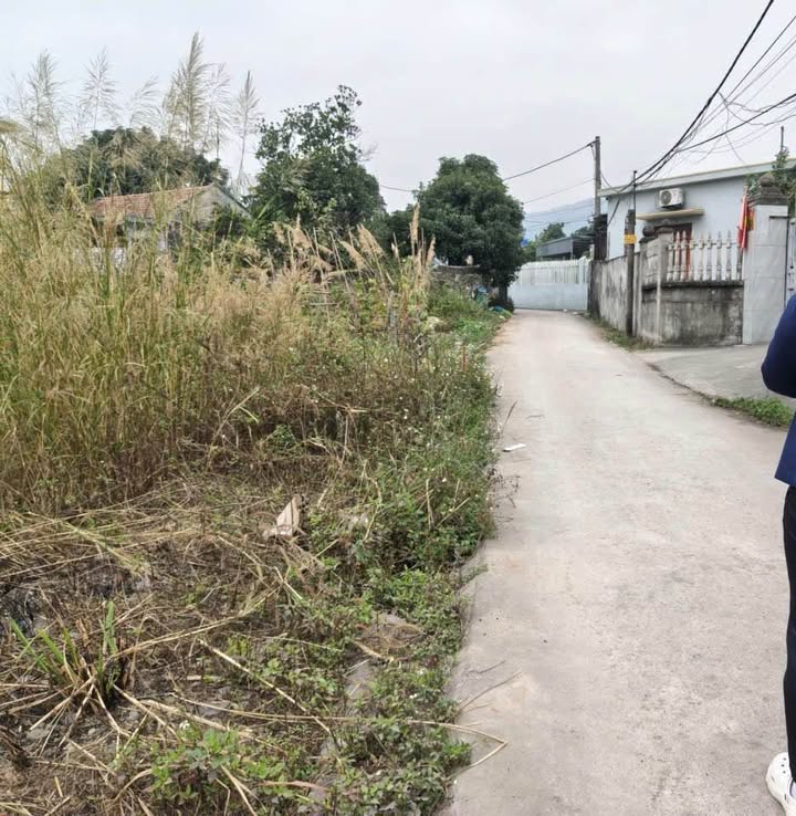 Đất nền Khu Yên Sơn Mạo Khê 110m² giá 400 triệu - Cơ hội đầu tư tuyệt vời!