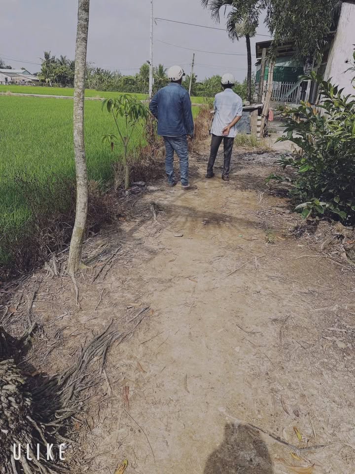 Đất nền 2123m² tại Tân Bình, Huyện Tân Trụ, giá 2.5 tỷ - Cơ hội đầu tư hấp dẫn!